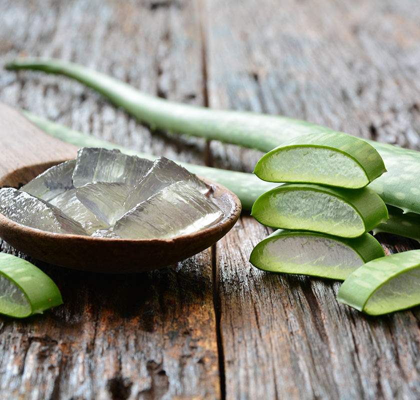 l'aloe vera aiuta in caso di capelli sottili 