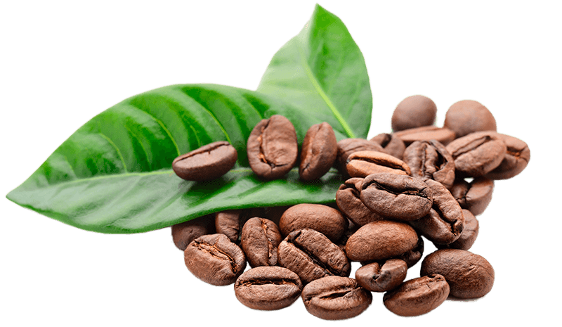 caffeina: un rimedio naturale contro la caduta di capelli