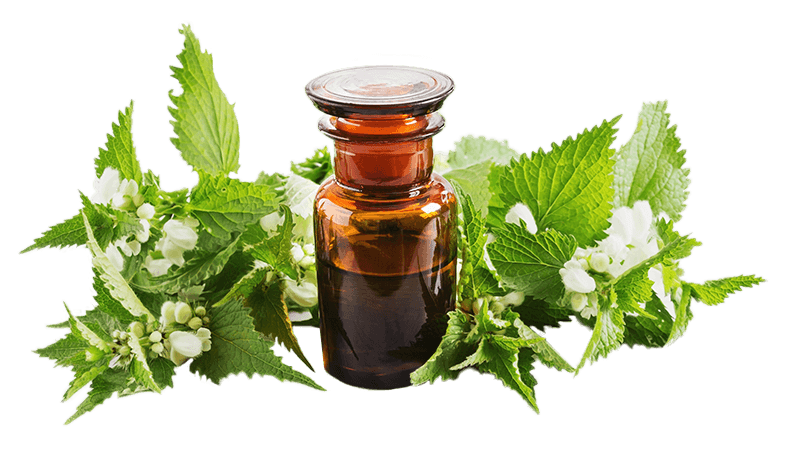 aloe vera: un rimedio naturale alla caduta di capelli