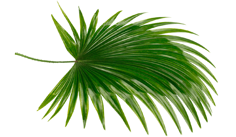 rimedi naturali caduta capelli