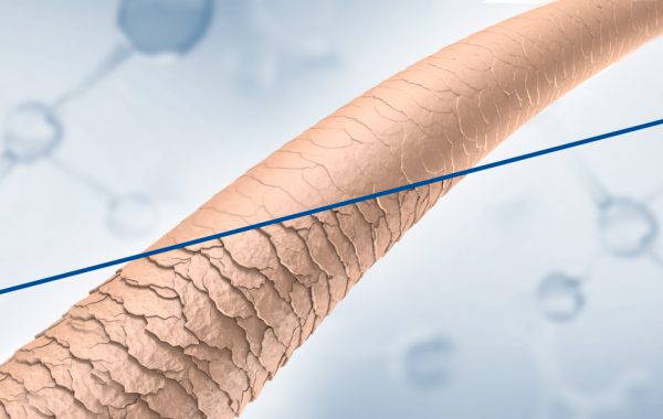 Come sono fatti i capelli