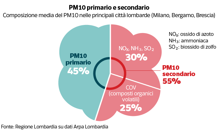 perdita capelli e inquinamento