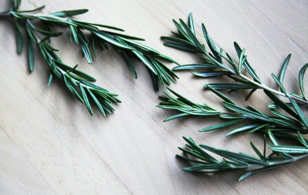I Benefici del Rosmarino sui Capelli