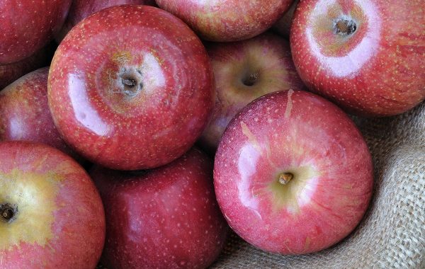 Mela annurca e capelli: funziona davvero contro la calvizie?