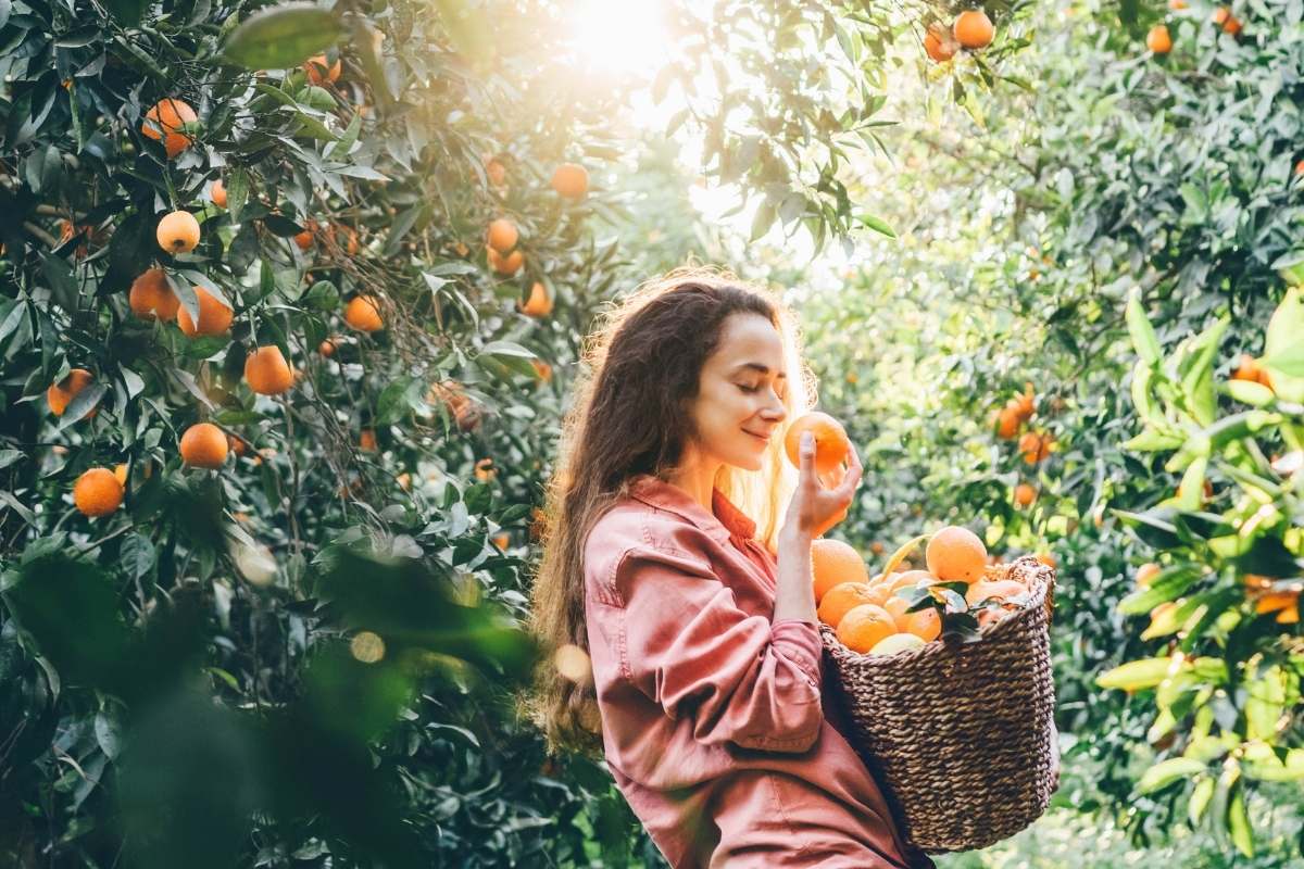 Frutta arancione consigliata per i capelli